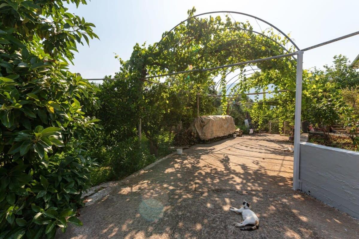 Serene Seaside Bliss - Lush & Secluded Garden Oasis กาลามาตา ภายนอก รูปภาพ